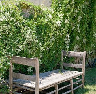 Montdoumerc Bed & Breakfast | Domaine de L'Isle Basse