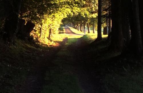 Le Gouray House | Domaine de la Motte-Basse