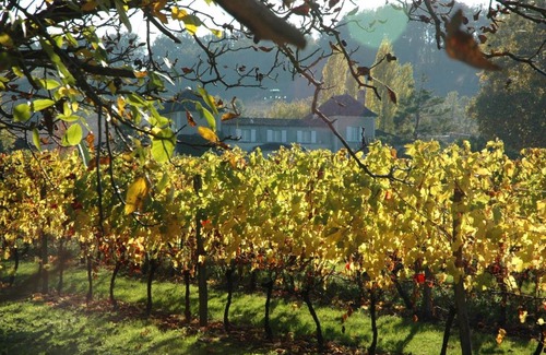 Saussignac Bed & Breakfast | Domaine de la Queyssie