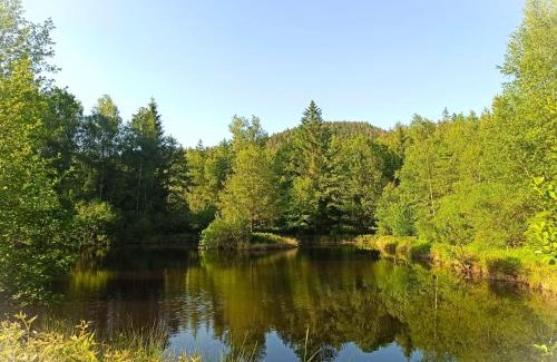 Mesnil Sous Les Cotes Cabin | Domaine de Marmonfosse