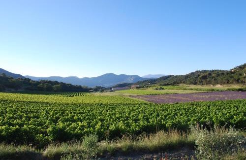 Venterol Bed & Breakfast | Domaine de Provensol