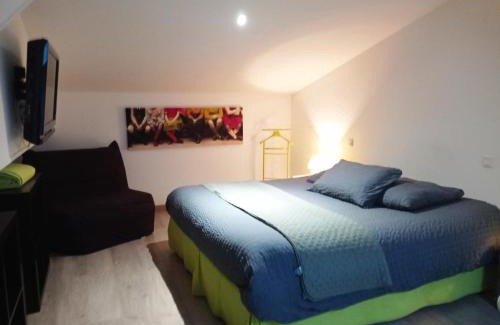 Saint-Hilaire-de-Loulay Apartment | Domaine des Ecoliers - Appartement 123 soleil proche PUY DUFOU