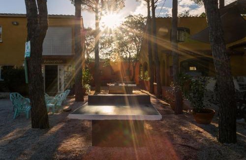 Plage d'Argeles Apartment | Domaine Des Mimosas