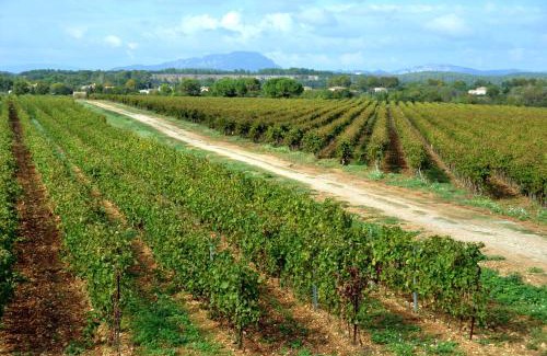 Le Cres House | Domaine du Mas du Pont
