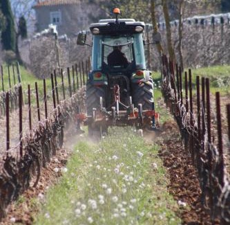 Rieux-Minervois House | Domaine Saint Antoine