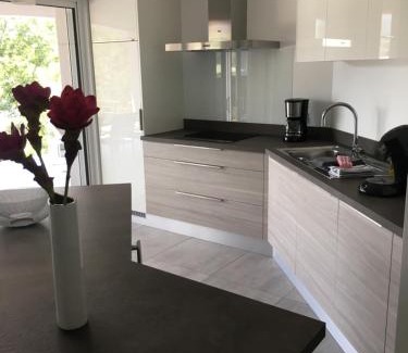 Saint-Alban-sous-Sampzon House | DOMAINE VILONAPA - villa Figuier