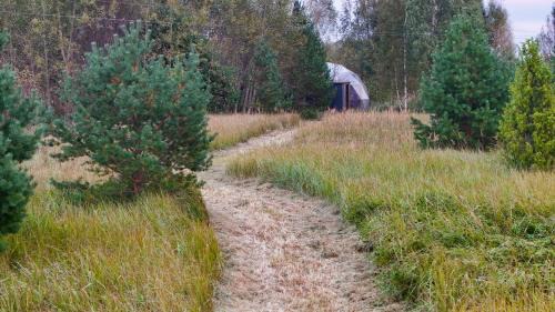 Pohja-Parnumaa Parish House | Dome house expierence near the river with sauna