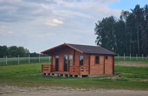 Nowy Tomysl House | Domek