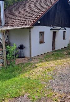 Bezdez Apartment | Domek u rybníka