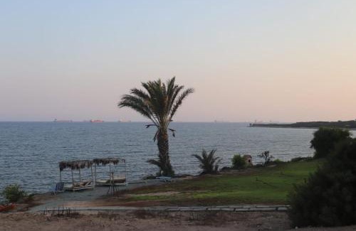 Maroni Other | Domes at the Beach