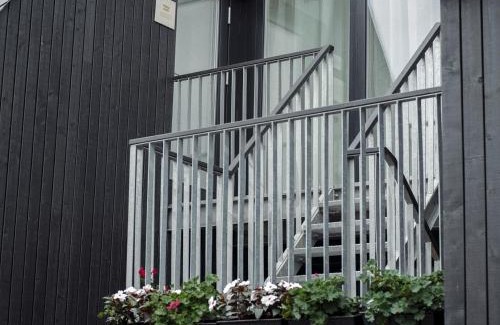 Druskininkai Apartment | Domi Lini