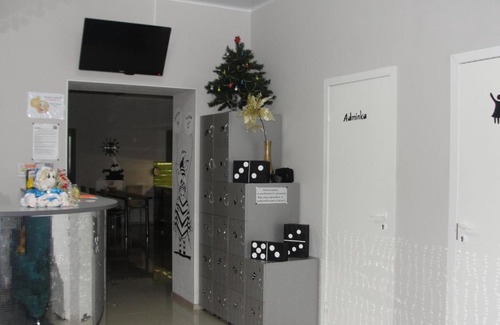 Tomsk Hostel | Domino Hostel
