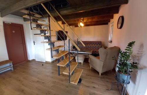 Stegna House | Domki i pokoje goscinne A A Malinowscy