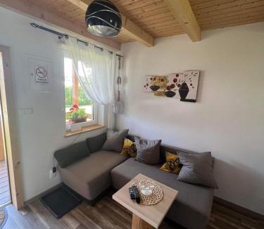 Lesko House | Domki pod Polaną