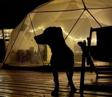 Nocaima Other | Domo Glamping Reserva Los Cucharos
