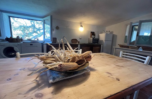 Nulvi Other | DOMO MEA beautiful farmhouse immersed in theSardinian countryside an its animals