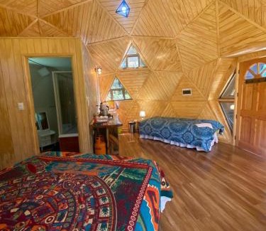 Pucon House | domos llafenco