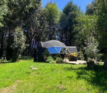 Pucon House | domos llafenco