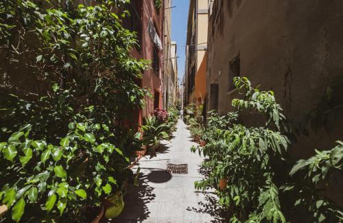 Historic Castle District Apartment | Domus De Gorga - Your Sardinian Apartment