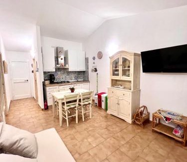 Porto Pollo Apartment | DOMUS HENRICUS -THREEROOM APARTMENT IN PORTO POLLO 400 Meters from the sea