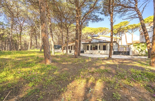 Santa Lucia Apartment | Domus Lucia 3