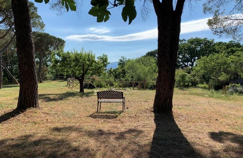 Orte House | Donkeys and Roses La Casa delle Querce