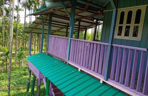 Alipurduar Apartment | DOOARS VELLEY HOME STAY