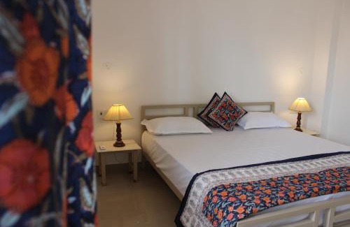 Pink City House | Doongri House
