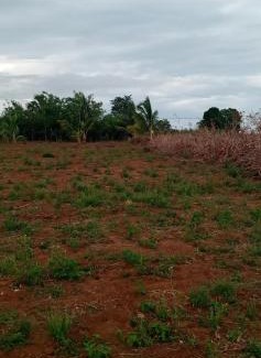 Wellawaya Other | DOP Camp Site Resort