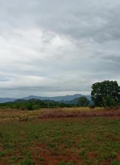 Wellawaya Other | DOP Camp Site Resort