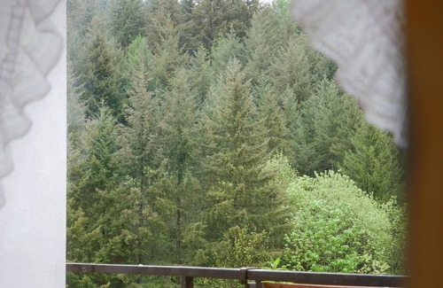 Seebach Apartment | Doppelzimmer mit Balkon, 24qm, max. 3 Person