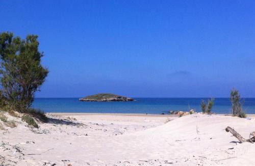 Dor Resort | Dor on the beach
