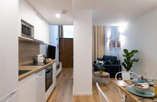 Penya-roja Apartment | DormForYou Alameda 12 Apartment