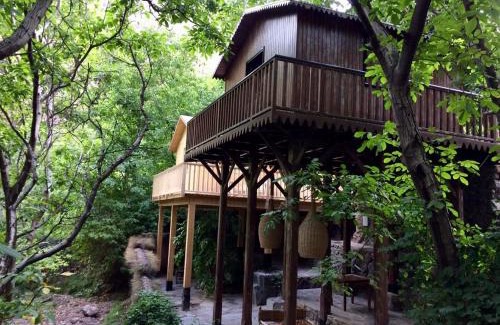 Tamatert House | Douar Samra