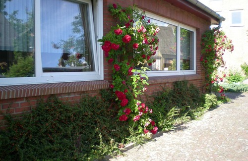 Suderstapel Apartment | Double room 5 Haus Village - Pension "Haus Village"