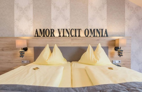 Haibach ob der Donau House | Double room Limes, bath, WC - Riverresort Donauschlinge