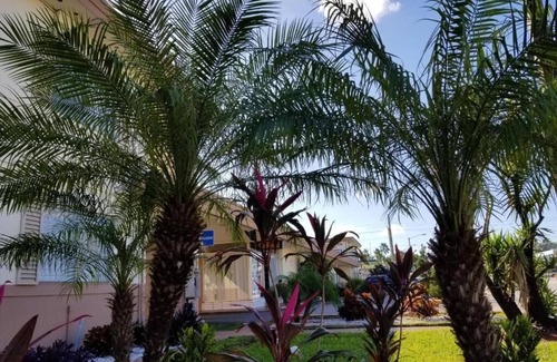 Miami Springs Apartment | Double Room Near Curtiss Mansion MIA