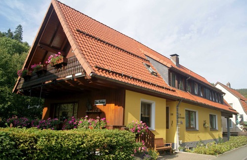 Wildemann Apartment | Double room - No. 14 - Pension Haus Brückner
