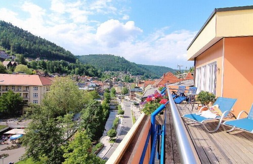 Bad Wildbad Apartment | Double room with shower and WC