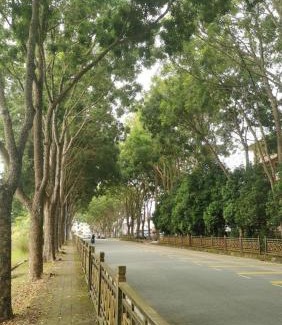 Taman Selesa Jaya House | Double Storey Johor Bahru Stadium Homestay