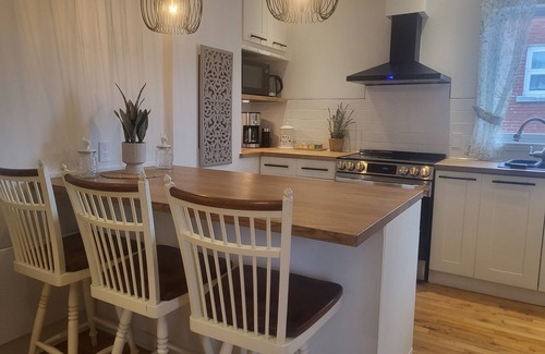 Rosemont-La Petite-Patrie Condo | Double Terrasse · Borne Arcade · BBQ · Proche Bus