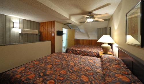 Banff Hotel | Douglas Fir Resort & Chalets