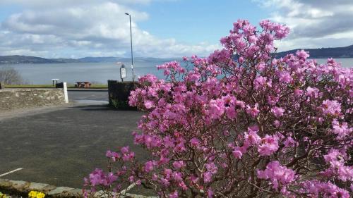 Kilmun Bed & Breakfast | Douglas Park Guest House