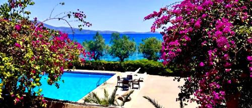 Monemvasia Apartment | Douka Sea Front Residencies