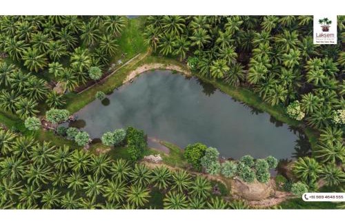 Pollachi Hotel | Down to Earth Farmstay by LAKSEM