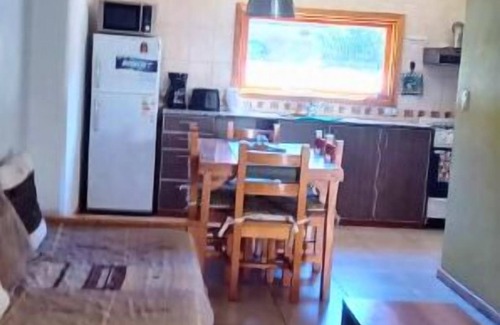 Lanin National Park Apartment | Downtown Department
