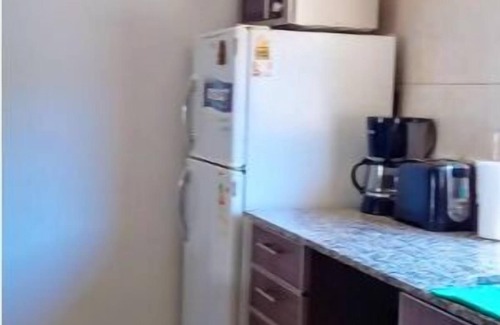 Lanin National Park Apartment | Downtown Department