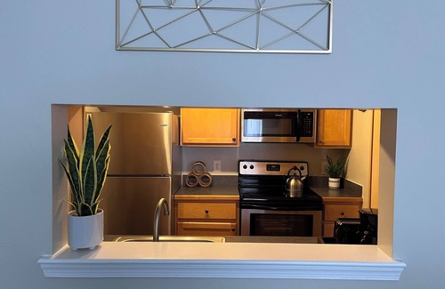 Downtown Baltimore Apartment | Downtown Baltimore 2BR Flat