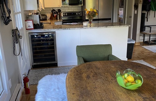 Crested Butte Condo | Downtown Crested Butte Beauty - Location, location, location
