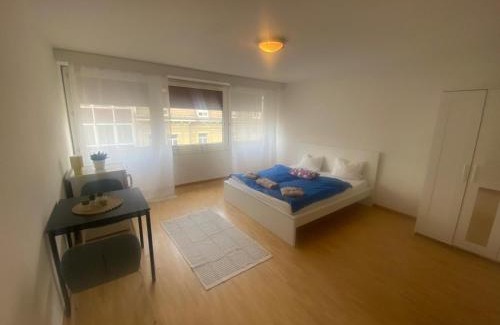 Lucerne Apartment | Downtown Flats, Lake Lucerne